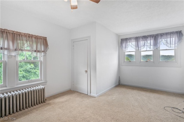 933 Biltmore Ave, Toronto, OH 43964 - photo 31