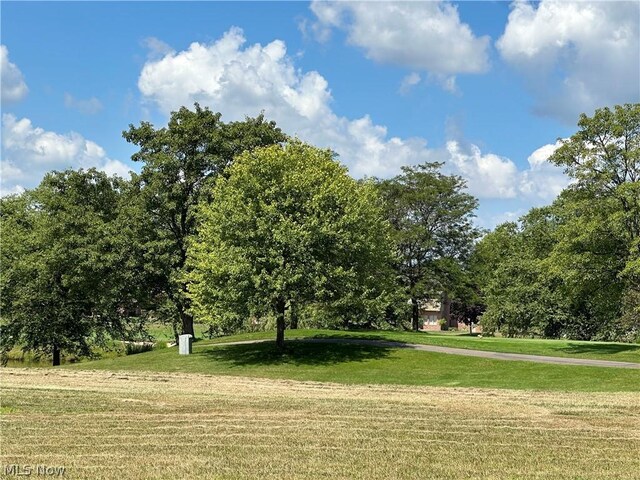 Hollyhock Ave NW, Canton, OH 44718 - photo 3