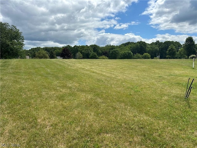 Armandale Ave NW, Canton, OH 44718 - photo 2