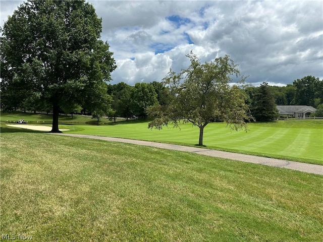 Armandale Ave NW, Canton, OH 44718 - photo 5