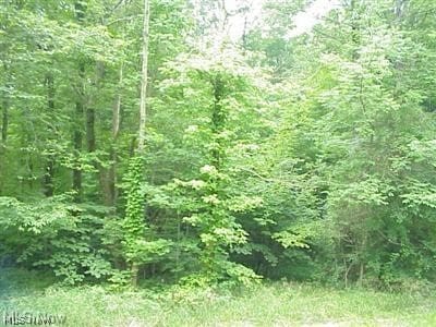 Laurel Rd, West Salem, OH 44287 - photo 3