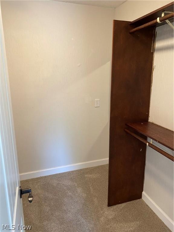 walk in closet with carpet flooring