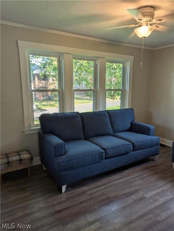 living room with ceiling fan, crown molding, and dark hardwood / wood-style flooring