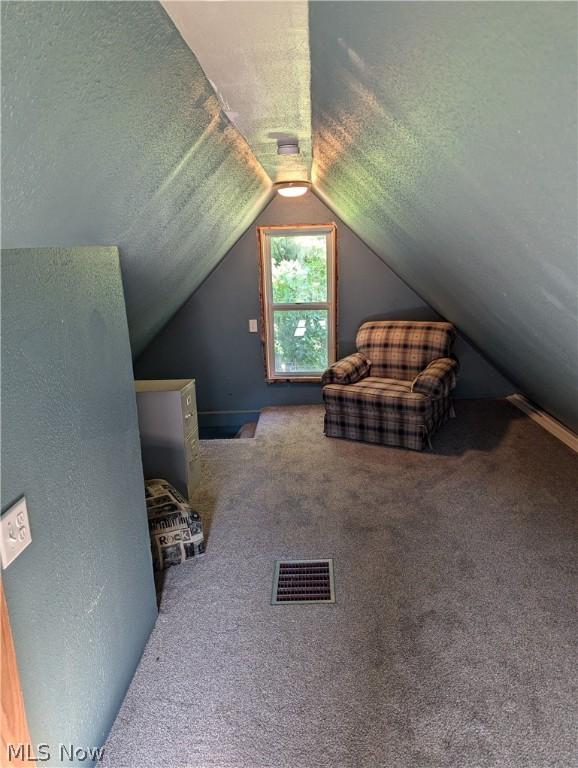 additional living space featuring a textured ceiling, carpet floors, and lofted ceiling