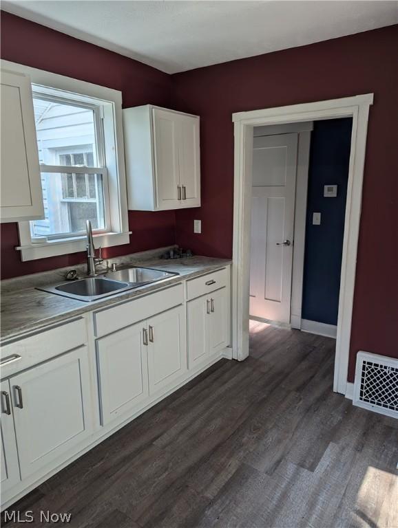 kitchen with white cabinetry, dark hardwood / wood-style flooring, and sink