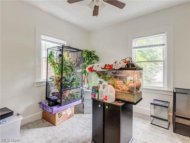 5521 W 48th St, Parma, OH 44134 - interior space with baseboards and ceiling fan