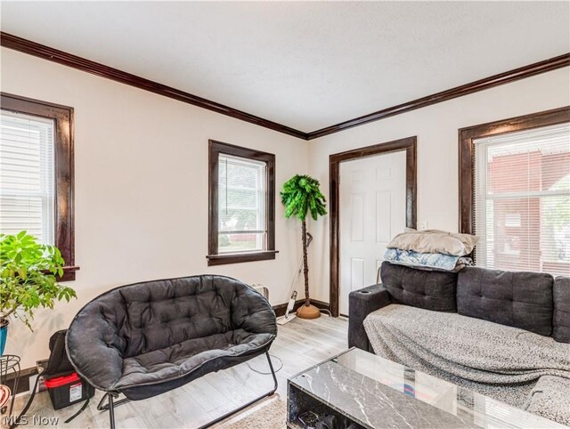 5521 W 48th St, Parma, OH 44134 - living room featuring ornamental molding, baseboards, a healthy amount of sunlight, and light wood-type flooring