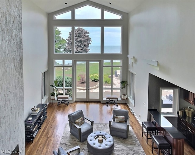 living room with hardwood / wood-style flooring, plenty of natural light, french doors, and a high ceiling