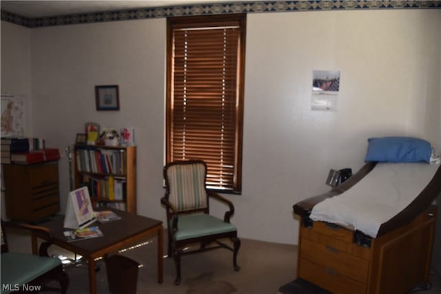 sitting room featuring carpet floors