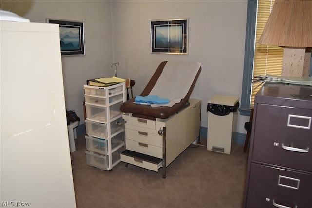 office area featuring carpet flooring