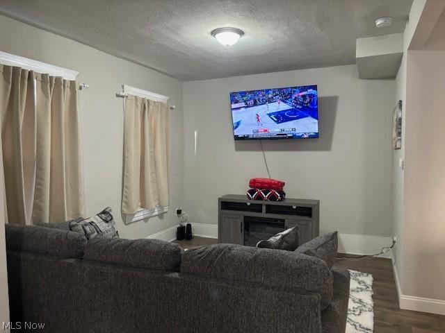 living room with a textured ceiling and wood-type flooring