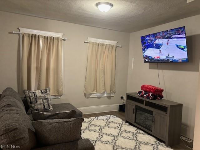 living room featuring light wood-type flooring and a textured ceiling