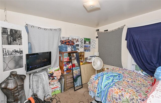 bedroom with carpet floors