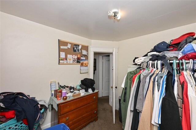 interior space with carpet floors