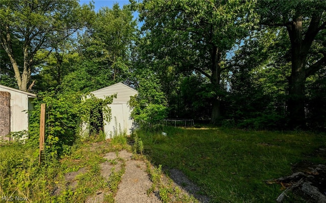 view of yard with a shed and a trampoline