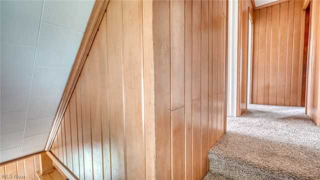 room details featuring wood walls and carpet flooring