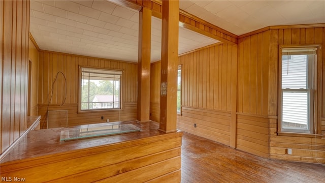 kitchen with plenty of natural light and wood-type flooring