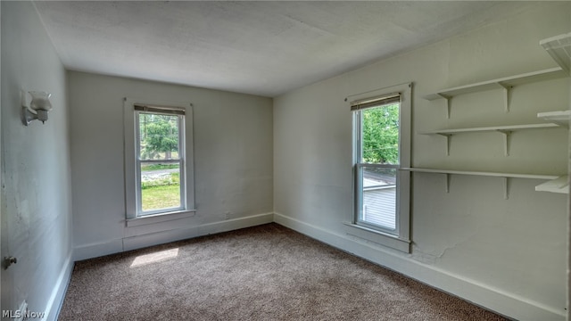 empty room featuring carpet