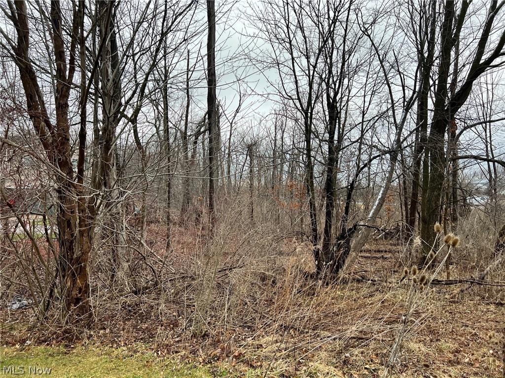 15604-REAR Boston Rd, Strongsville, OH 44136 - photo 1