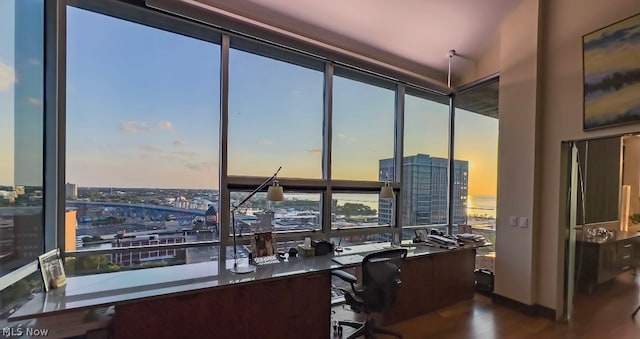 office featuring wood-type flooring, expansive windows, and plenty of natural light