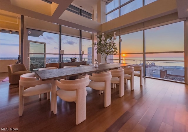 dining room featuring dark hardwood / wood-style floors and a water view