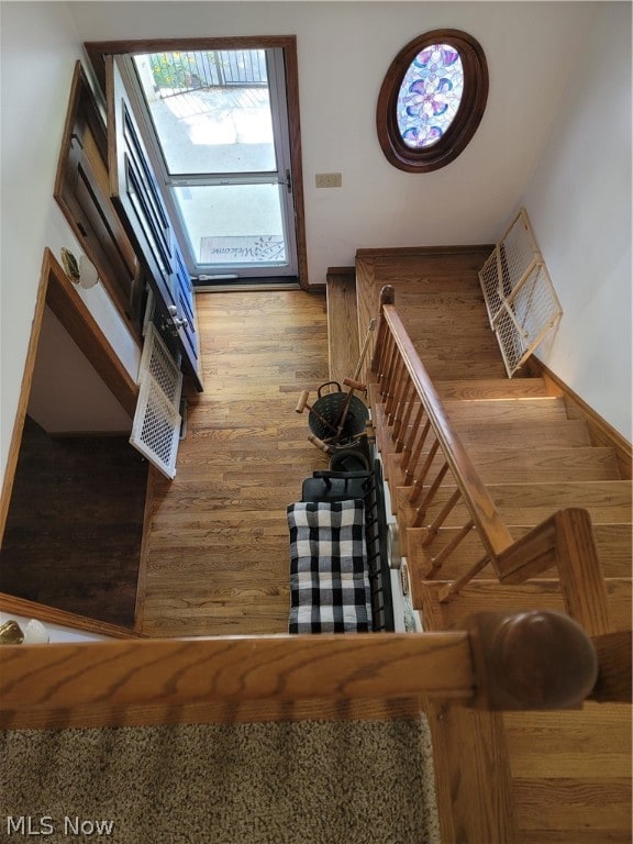 stairway with hardwood / wood-style floors