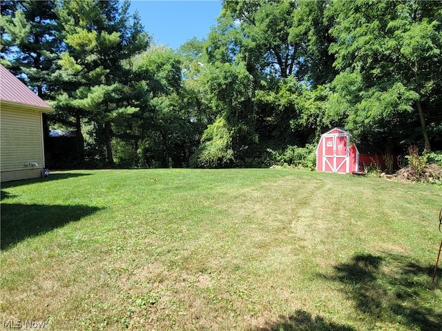 view of yard featuring a shed