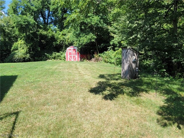 view of yard featuring a storage unit