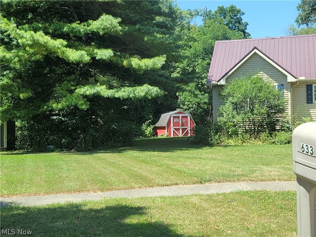 view of yard with a storage shed