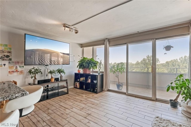 interior space featuring light hardwood / wood-style floors and a textured ceiling