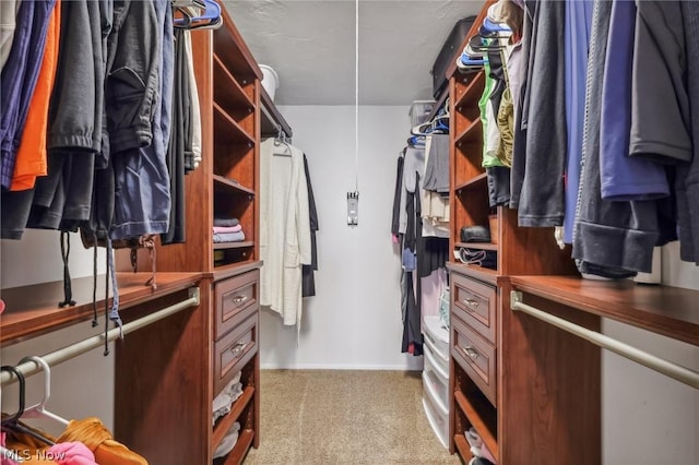 spacious closet featuring light carpet