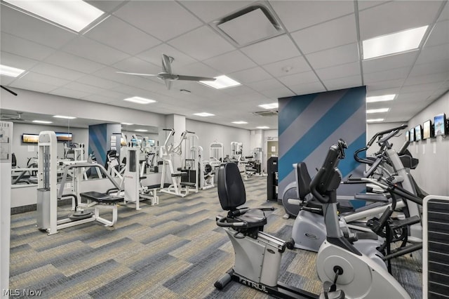 workout area featuring carpet flooring, a drop ceiling, and ceiling fan