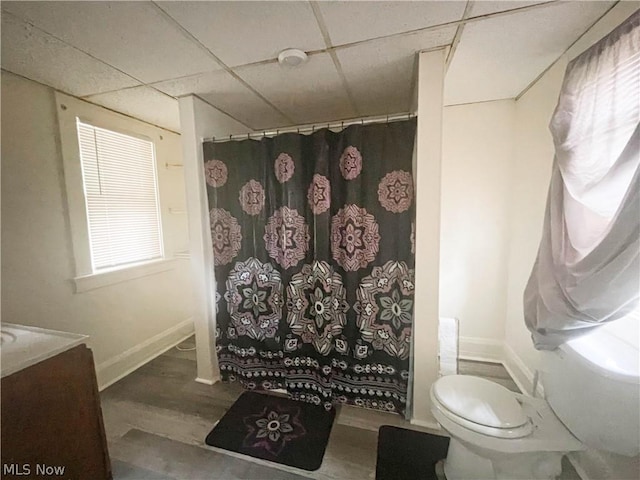 bathroom with wood-type flooring, toilet, a paneled ceiling, and vanity