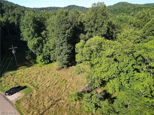 616 Hathaway St, Grantsville WV, 26147 land for sale