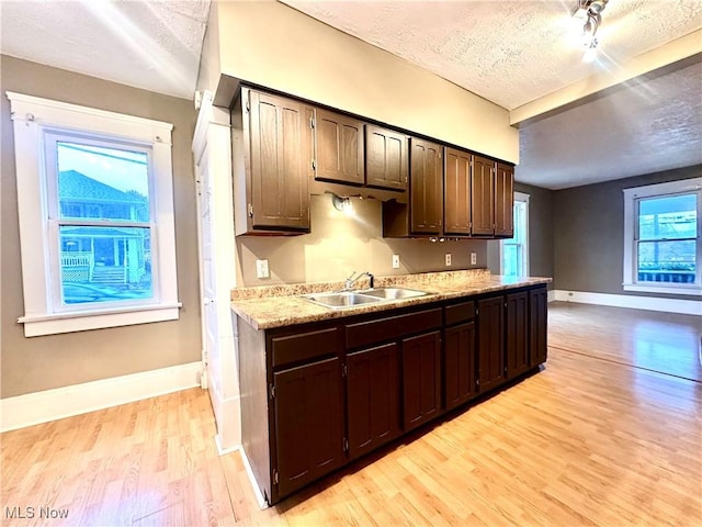 kitchen featuring dark brown cabinetry, sink, light hardwood / wood-style floors, and a textured ceiling