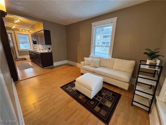 living room with light hardwood / wood-style flooring and a textured ceiling