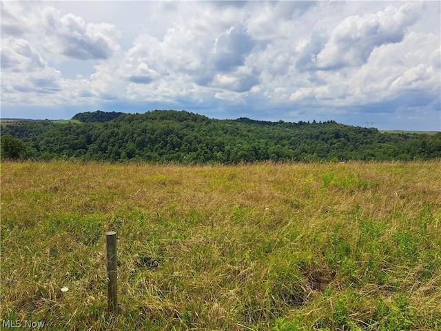 view of local wilderness with a forest view