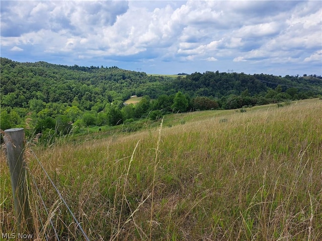 view of local wilderness featuring a forest view