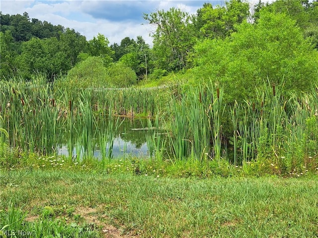 view of local wilderness featuring a water view