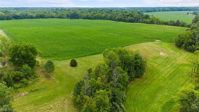 26479 State Route 58, Wellington, OH 44090 - photo 41