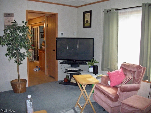 living room with ornamental molding