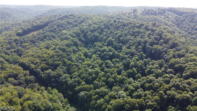 Listing photo 2 for Holberts Run Rd, New Cumberland WV 26047