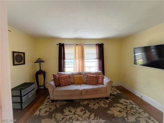 living room with dark wood-type flooring