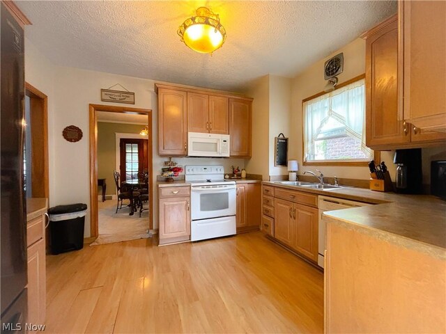 kitchen featuring sink, white appliances, a textured ceiling, and light wood-type flooring