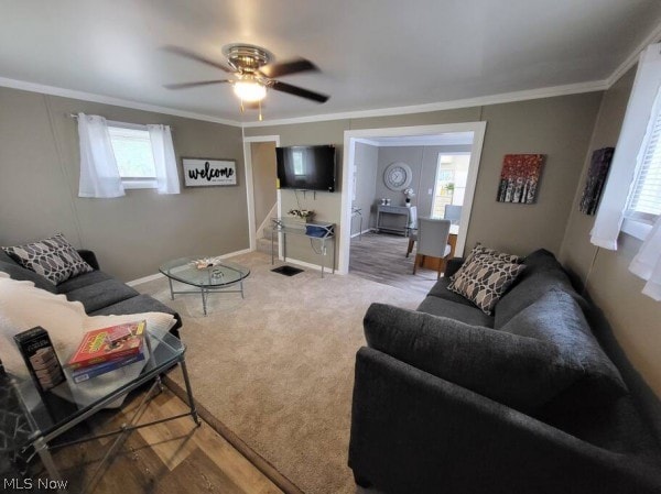 carpeted living room featuring ceiling fan and crown molding