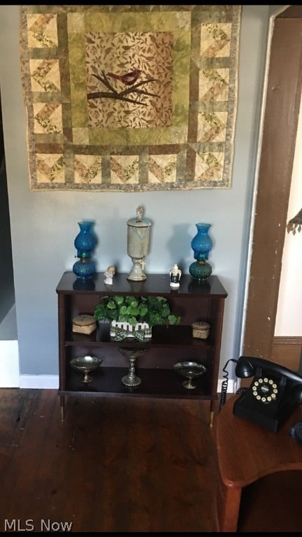 interior details with hardwood / wood-style flooring