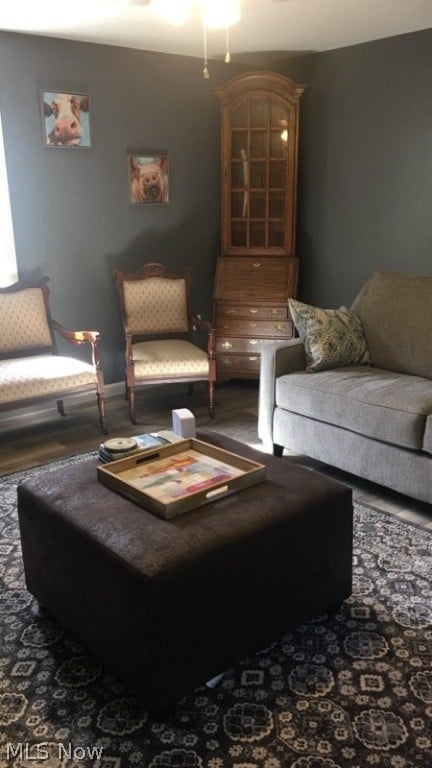 living room with hardwood / wood-style flooring