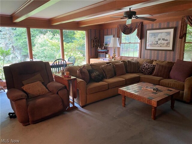 carpeted living room with beam ceiling, crown molding, and ceiling fan