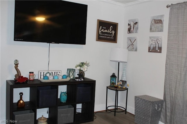 room details with crown molding and wood-type flooring