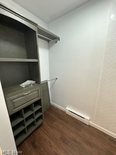 walk in closet with dark wood-type flooring and a baseboard radiator